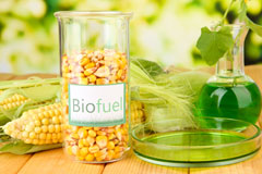 Polnish biofuel availability